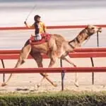 child_camel_jockey_2.webp