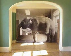 elephant_in_living_room.jpg