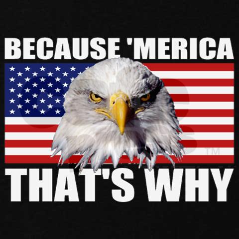 because_merica_thats_why_us_flag_american_eagle_sw.jpg