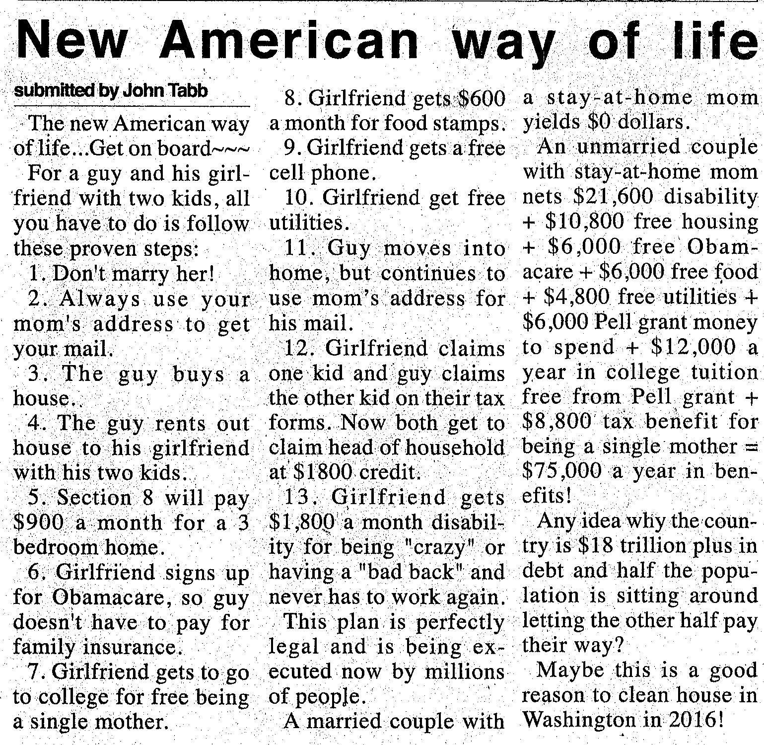 The-New-American-Way-of-Life.jpg