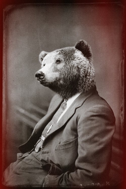 suit-and-tie-bear.jpg